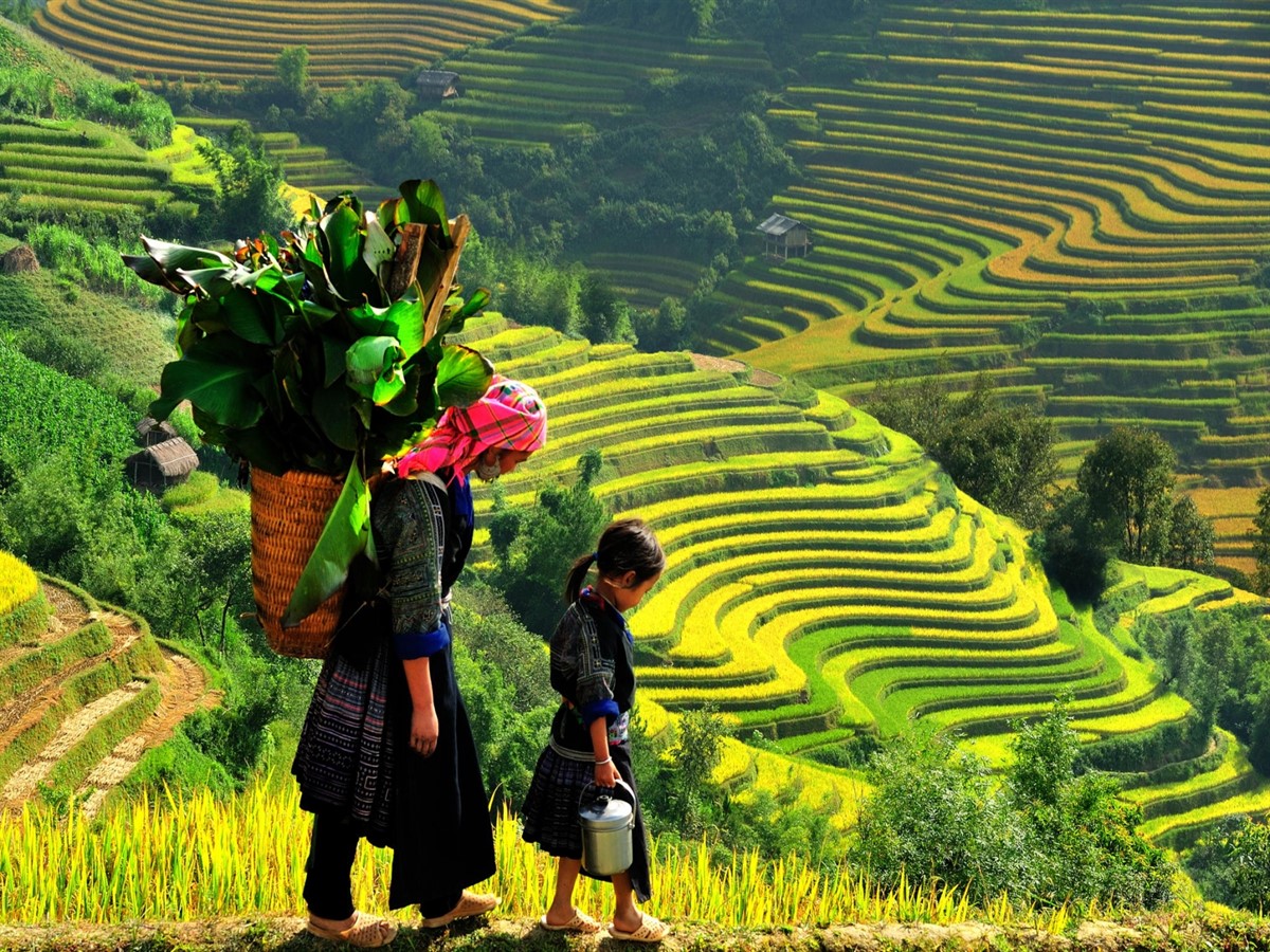 Read more about the article ALPHANAM GROUP VÀ INTERCONTINENTAL HOTELS GROUP KHẢO SÁT CÁC DỰ ÁN TẠI SAPA