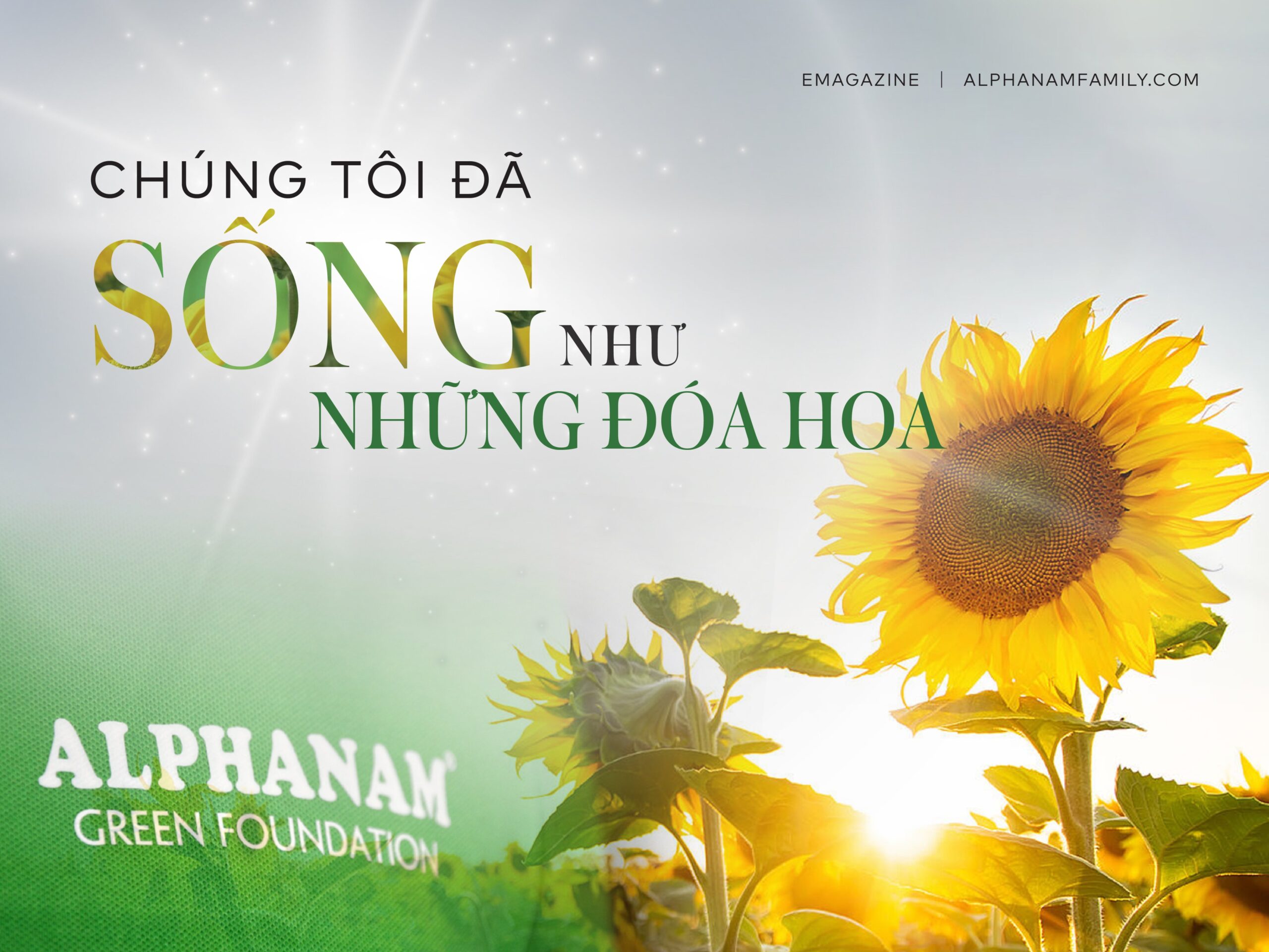 Read more about the article [longform] CHÚNG TÔI ĐÃ SỐNG NHƯ NHỮNG ĐÓA HOA