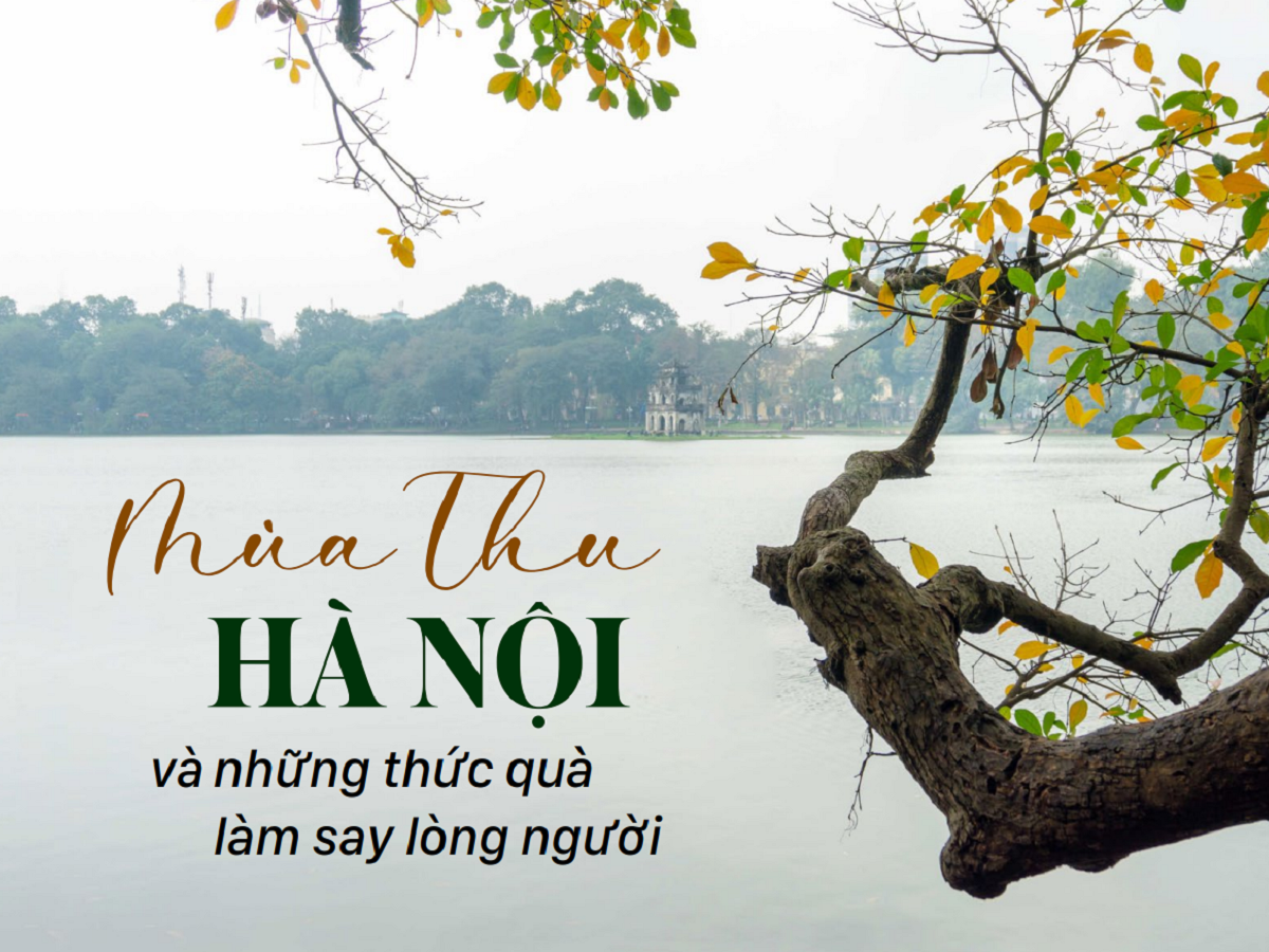 Read more about the article MÙA THU HÀ NỘI VÀ NHỮNG THỨC QUÀ LÀM SAY LÒNG NGƯỜI