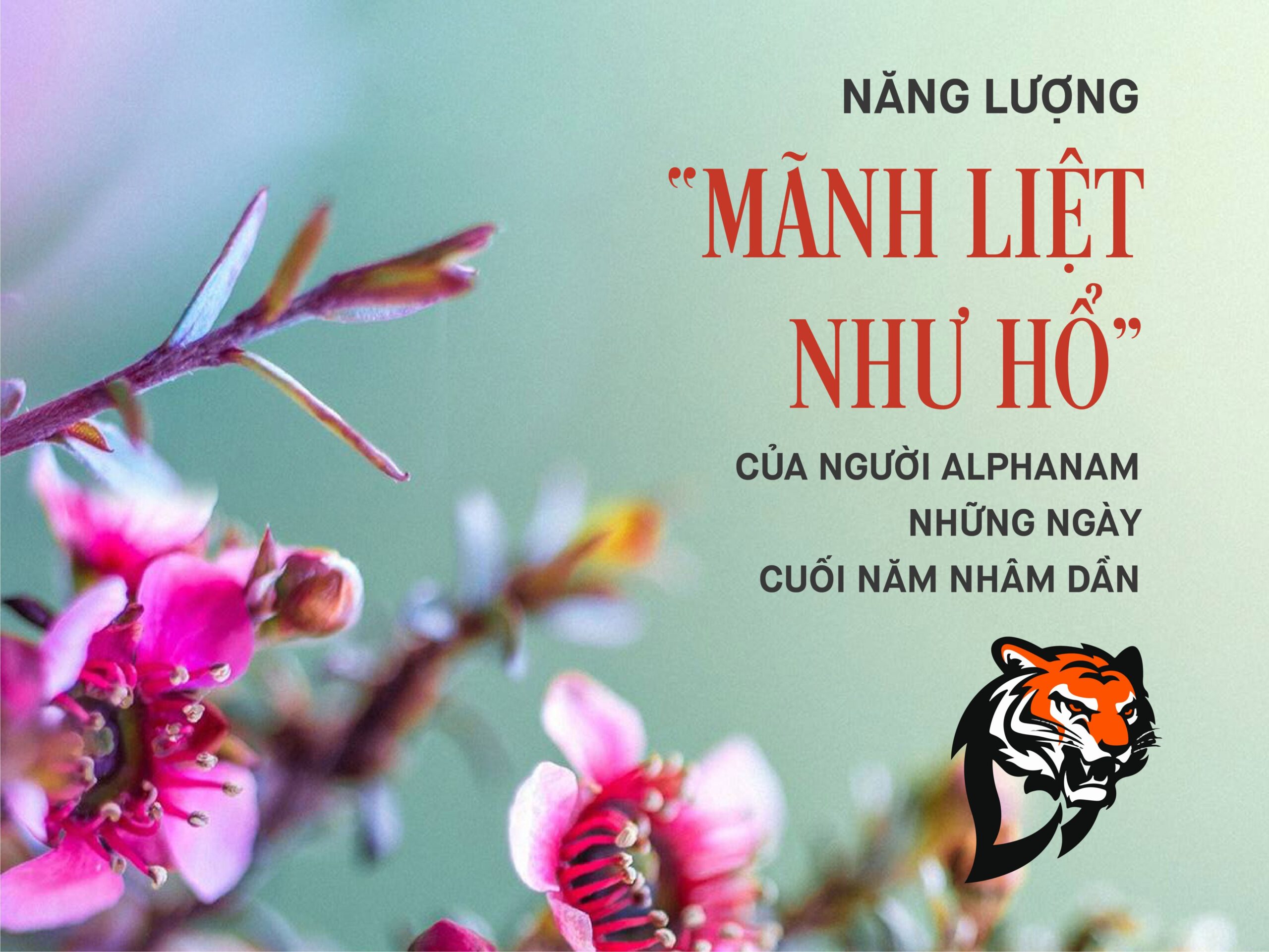 Read more about the article NĂNG LƯỢNG “MÃNH LIỆT NHƯ HỔ” CỦA NGƯỜI ALPHANAM NHỮNG NGÀY CUỐI NĂM NHÂM DẦN