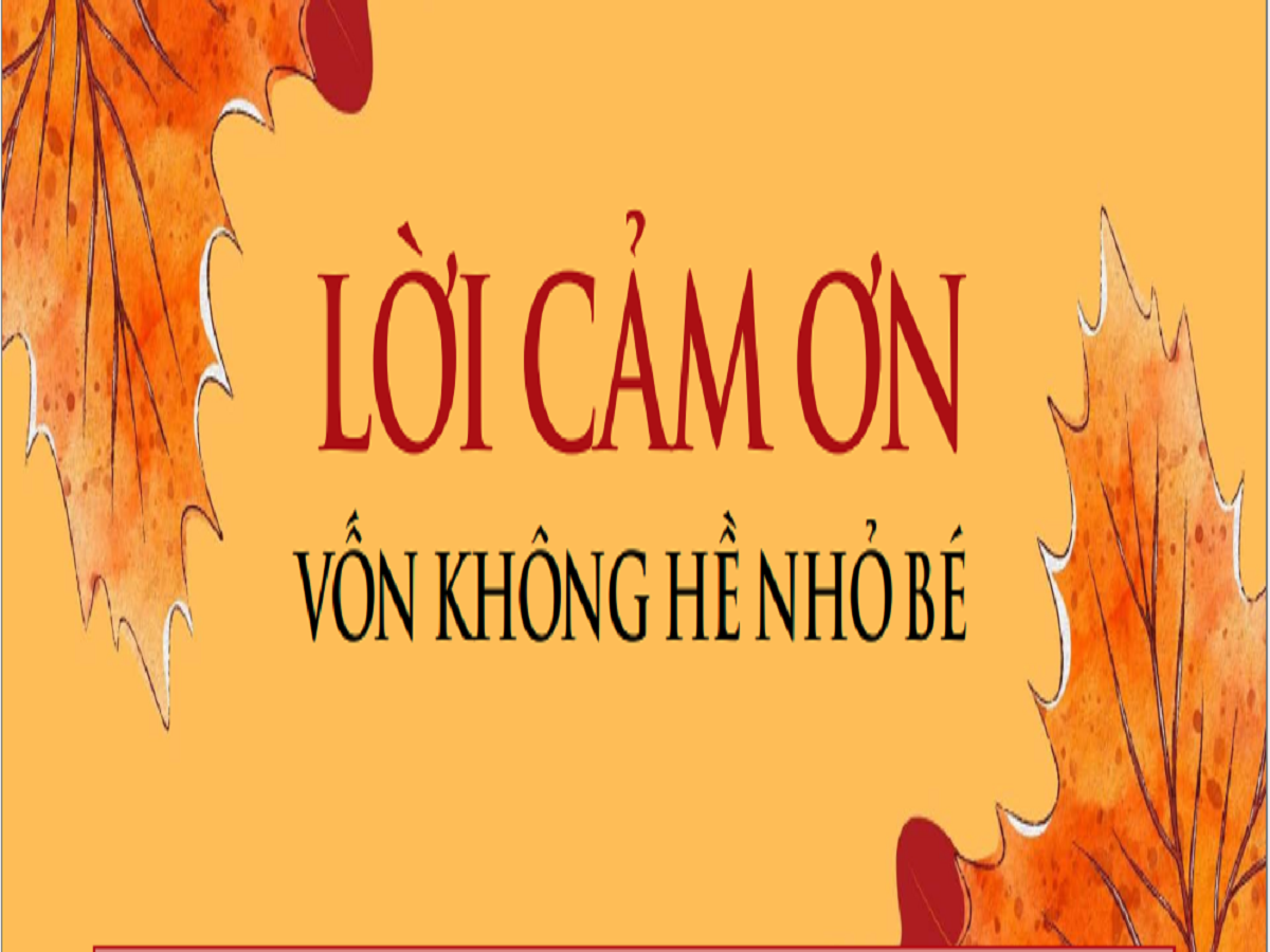 Read more about the article LỜI CẢM ƠN VỐN KHÔNG HỀ NHỎ BÉ