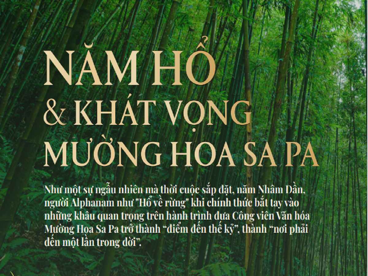 Read more about the article NĂM HỔ VÀ KHÁT VỌNG MƯỜNG HOA SAPA